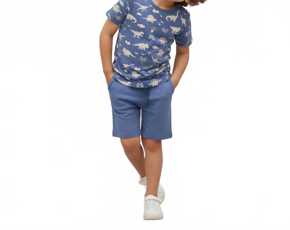 NEW MAKEMAKE ORGANICS boys organic tee & shorts set in dino